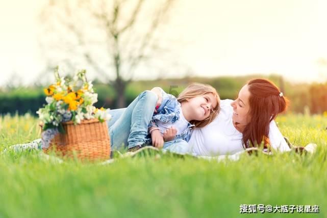 中华229好还是329好
